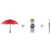 Umbrella Painting Workshop